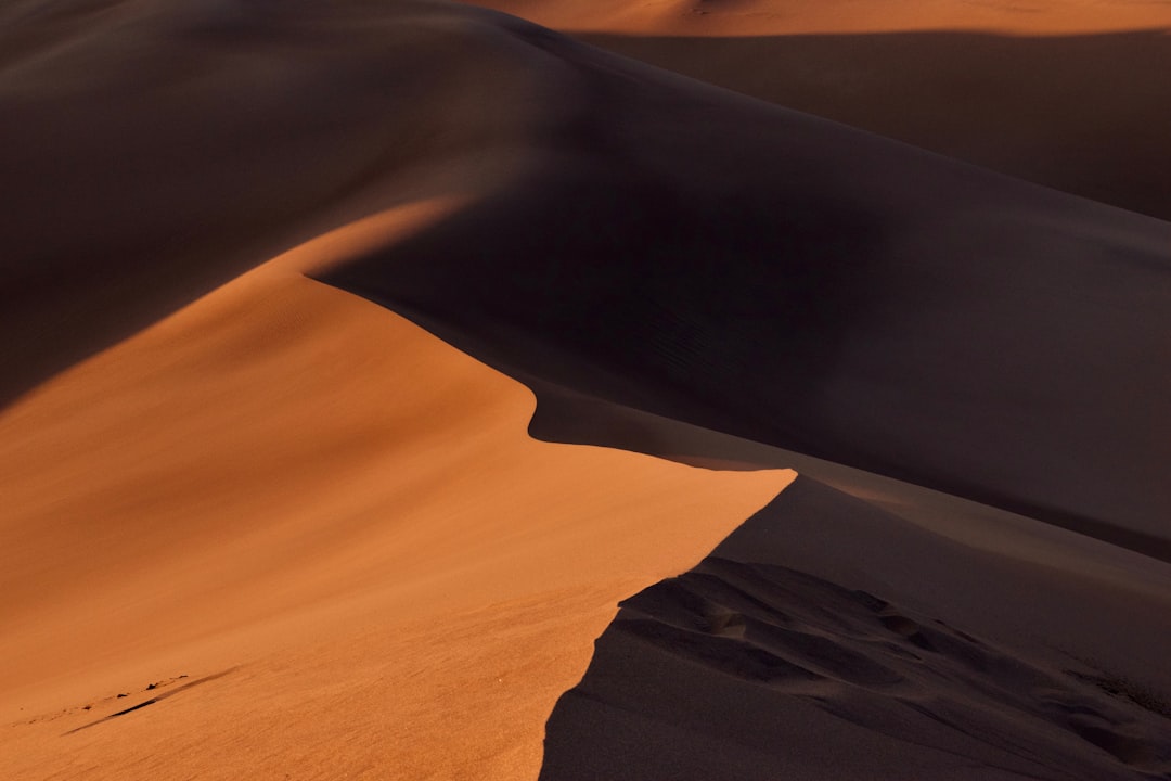The Surprising Benefits of a Desert